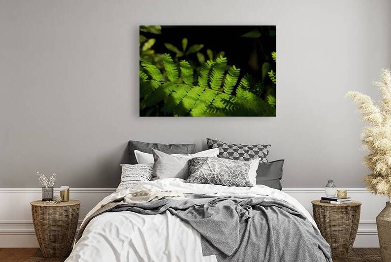 Resurrection Fern in the Shadows by Jerry Clement