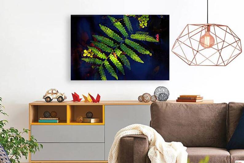 Fern on Water by Jerry Clement