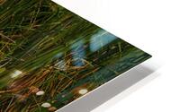 White Egret with Reflection HD Metal print