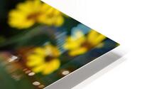 Small Yellow Flowers HD Metal print