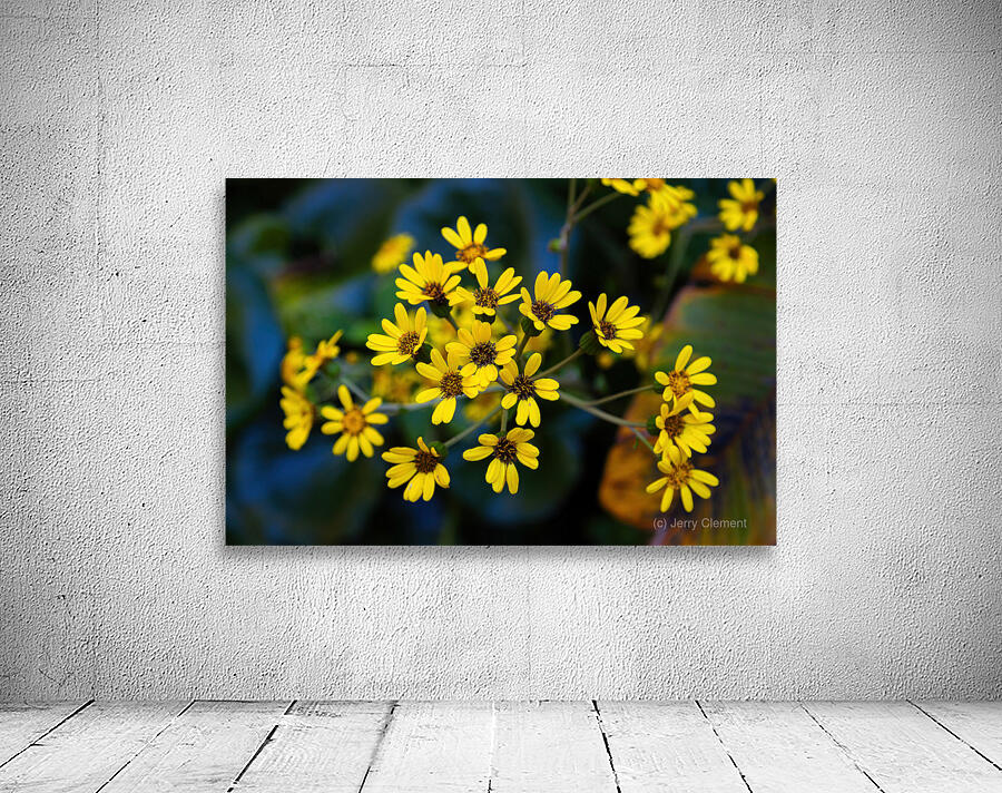 Small Yellow Flowers Wall Preview