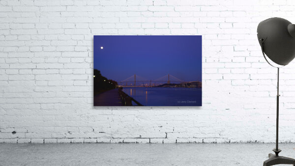Moon Over Savannah Wall Preview