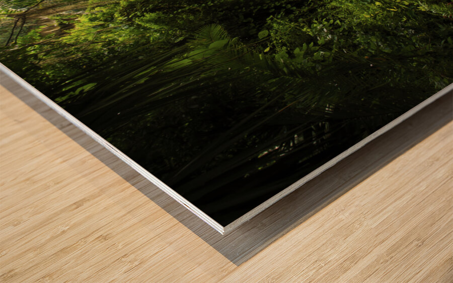 Peaceful Canal Wood print