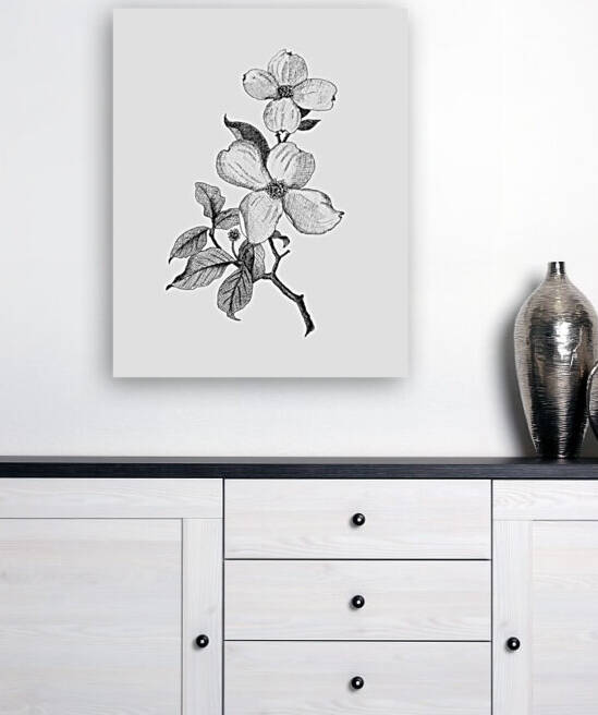 Dogwood Reproduction