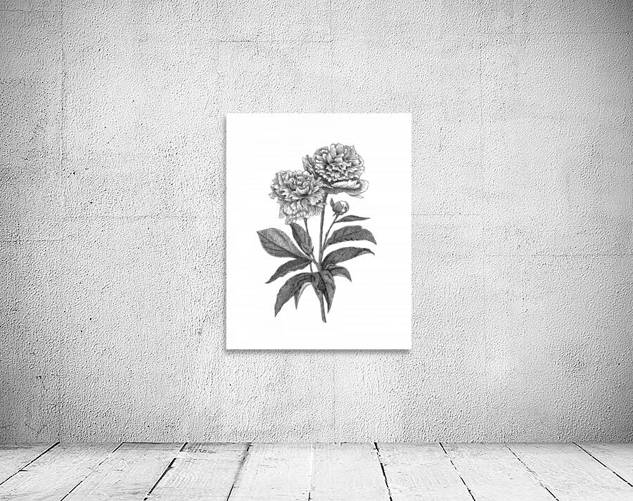 Peonies Wall Preview