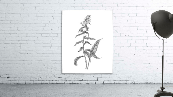 Goldenrod Wall Preview
