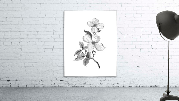 Dogwood Wall Preview