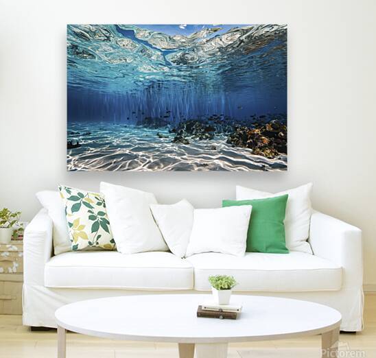 An exquisite surreal underwater landscape 4   Cop by Florin Harsan