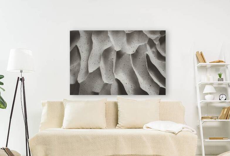 A captivating grayscale image with a textured bac by Florin Harsan