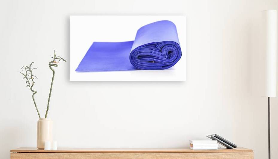 A pristine roll of blue paper towels 1 by Florin Harsan
