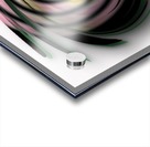The whirl, W11.1A3 Acrylic print