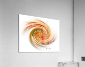 The whirl, W1.7A Acrylic Print