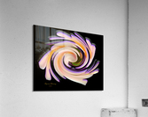 The whirl, W1.8B2 Acrylic Print
