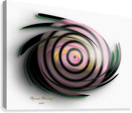 The whirl, W11.1A3 Canvas Print