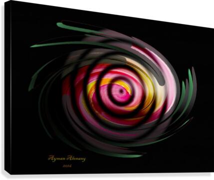 The whirl, W11.1B Canvas Print