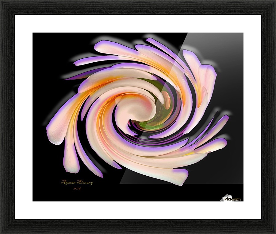 The whirl, W1.8B2 Picture Frame print