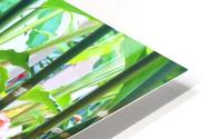Plants Abstracted HD Metal print