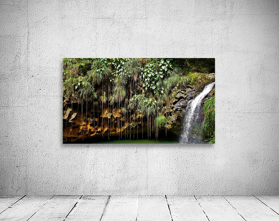 Falling Nature Captured...! Wall Preview