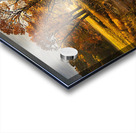 Fall sunrise Acrylic print