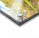 Mirror Reflection Acrylic print