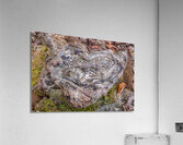 Natures Prints Acrylic Print