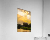 Shine Bright Acrylic Print