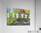 Climbing Up Acrylic Print