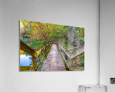 Under the Branch Acrylic Print