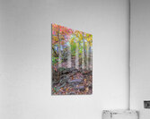 Path Up Acrylic Print