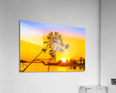 Sunflower at Sunset Acrylic Print