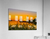 Twins Acrylic Print
