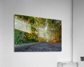 Paths Acrylic Print