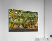 Stillness Acrylic Print