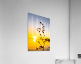 Growth Acrylic Print