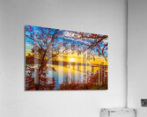 Through The Trees Acrylic Print
