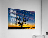 Solitude Acrylic Print