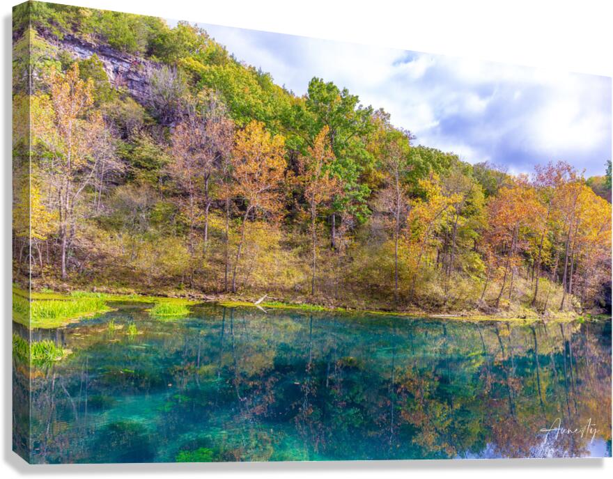 I See You Canvas Print