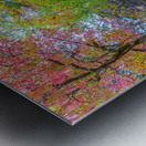 Path Up Metal print