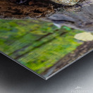 I See You Metal print