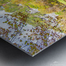 Mirror Reflection Metal print