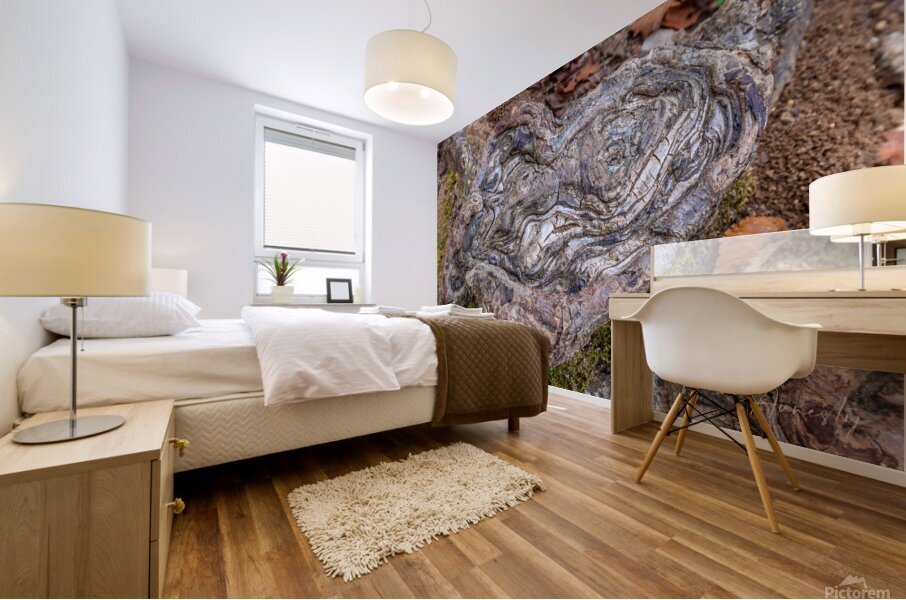 Natures Prints Mural print