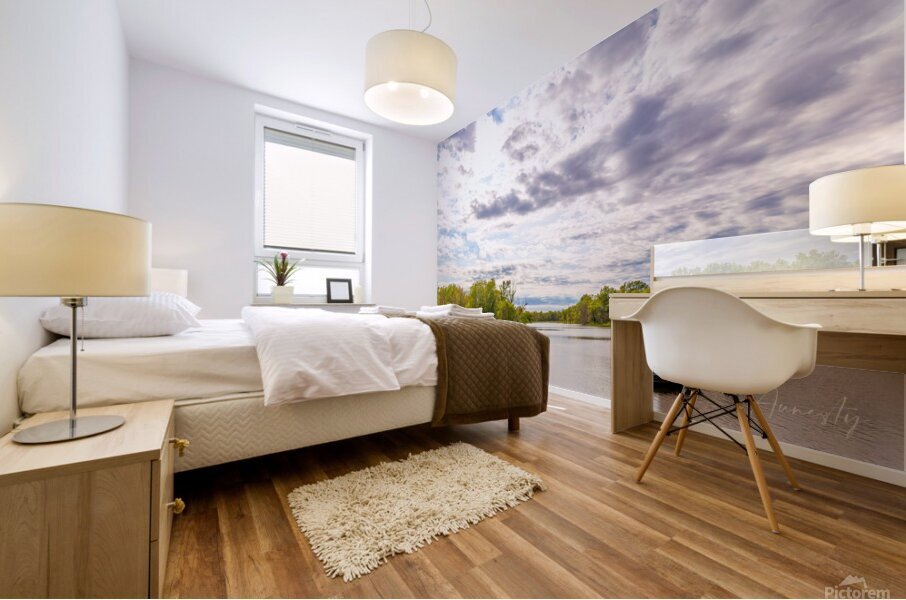 Fishing in the Clouds Mural print