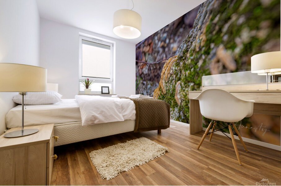 Turkey Tail Mural print