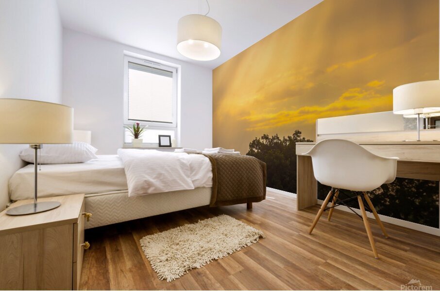 Shine Bright Mural print