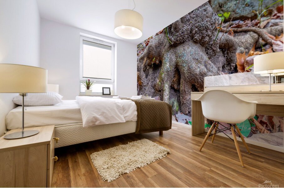 Roots Mural print