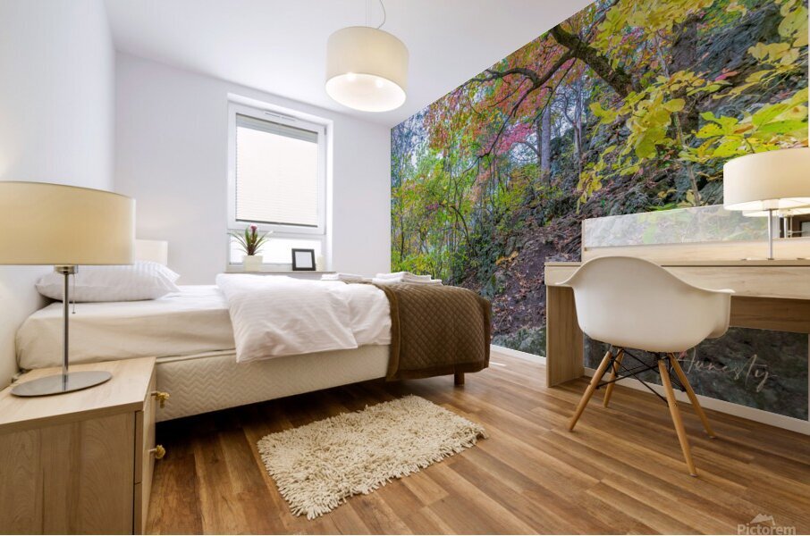 Climbing Up Mural print