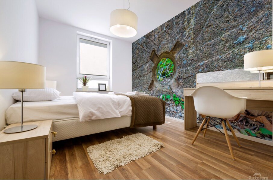 X Marks the Spot Mural print