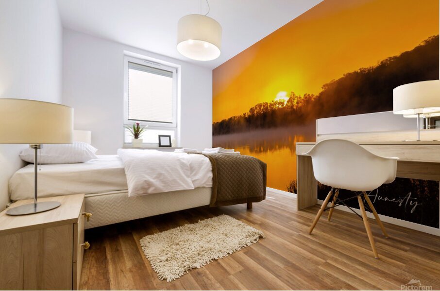 Sky on Fire Mural print