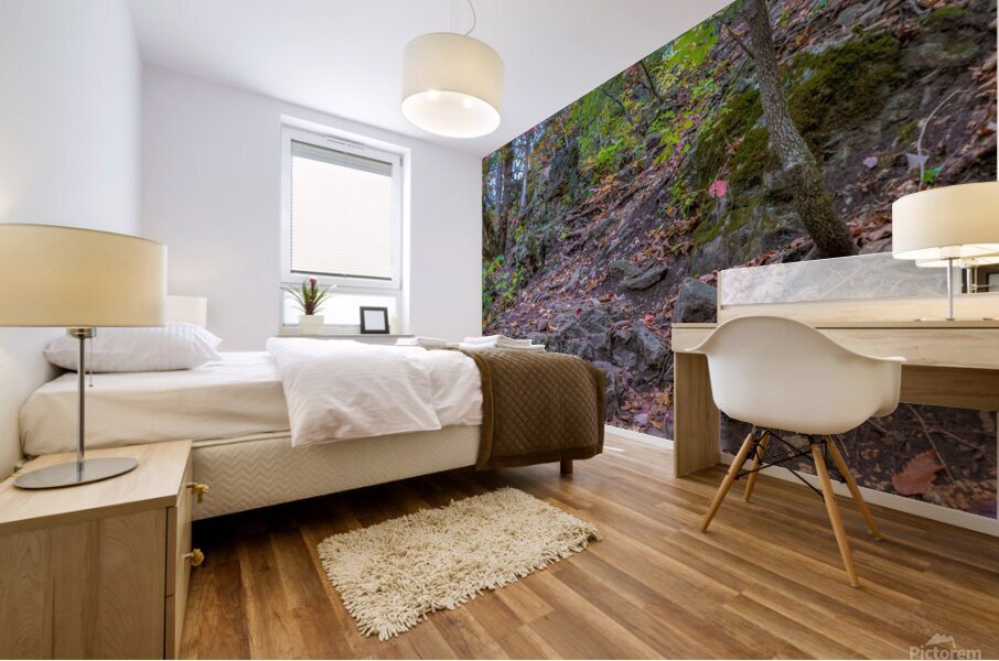Path Up Mural print