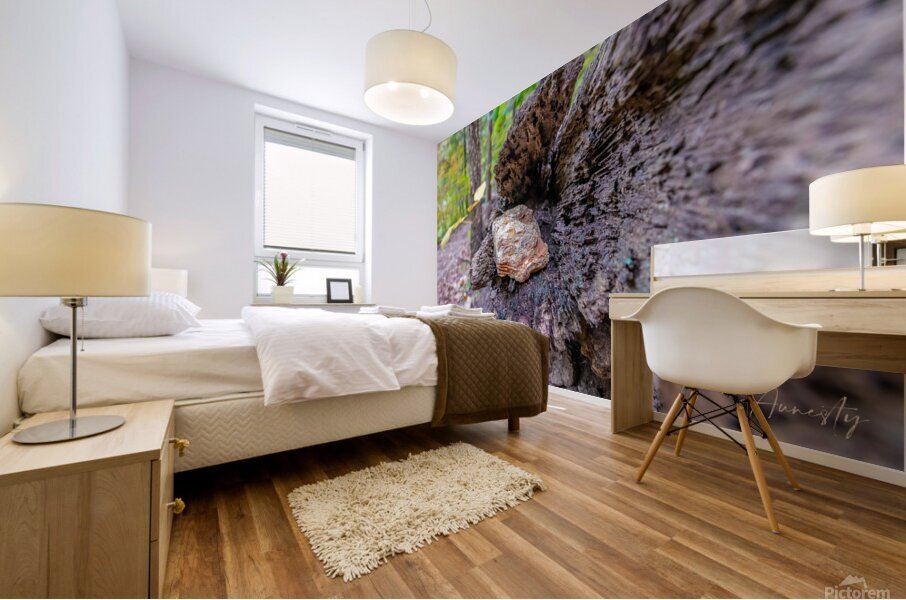 Rock in Tree Mural print